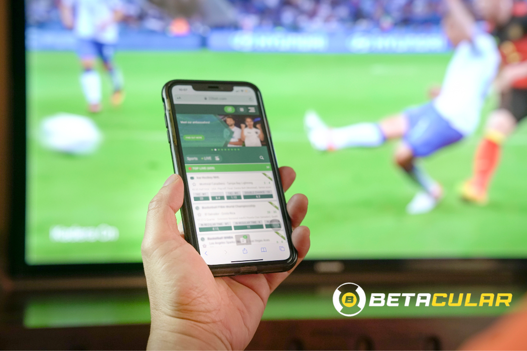 best football betting site in india